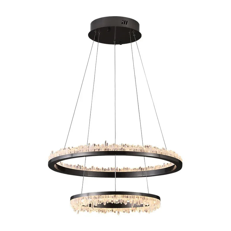 110V220V Stainless Steel Black Light Living Room Annual Luxury
