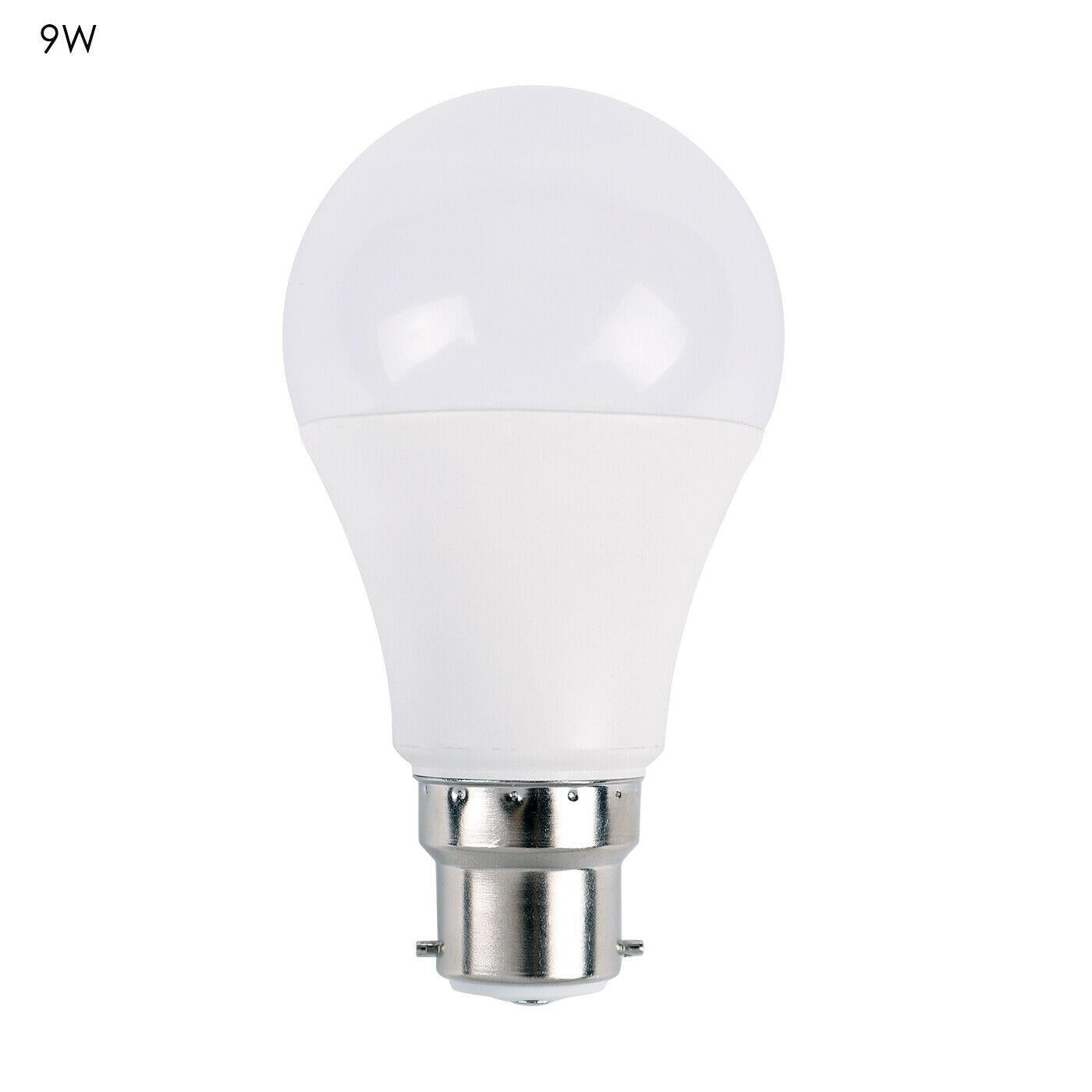 3 Pack LED Light Bulbs E22