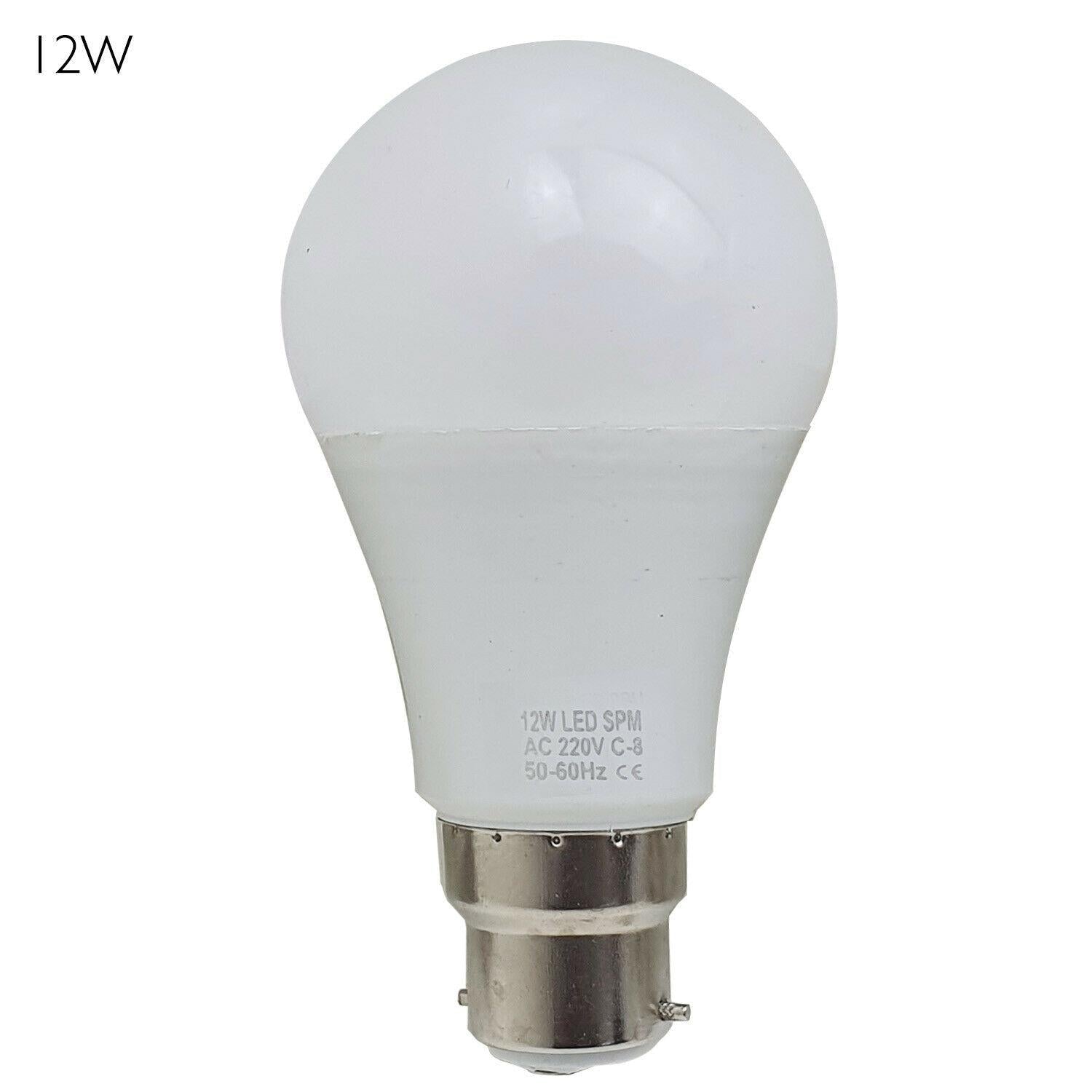 3 Pack LED Light Bulbs E22