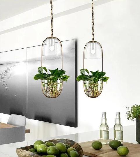 modern hanging plant pots Lileas
