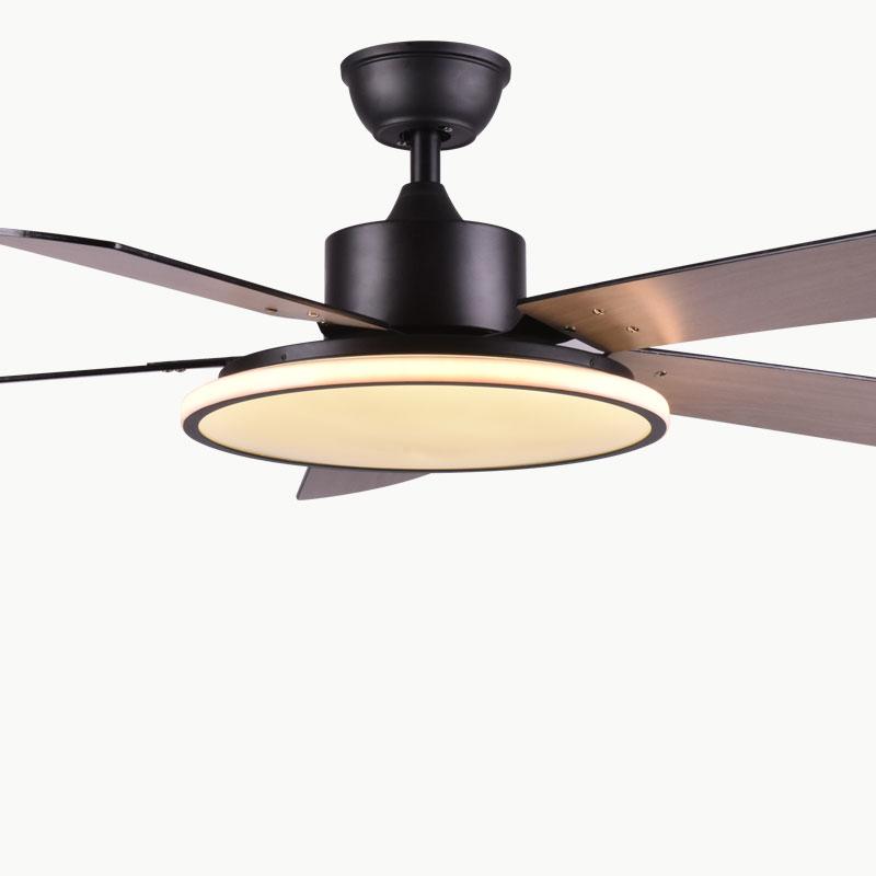 Brady - Modern LED Light Ceiling Fan