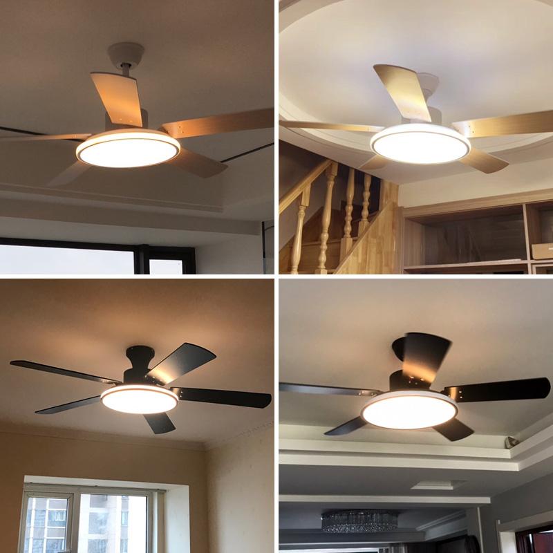 Brady - Modern LED Light Ceiling Fan