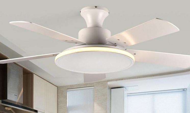 Brady - Modern LED Light Ceiling Fan