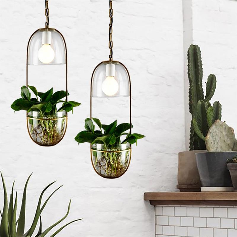 trendy hanging plants Lileas