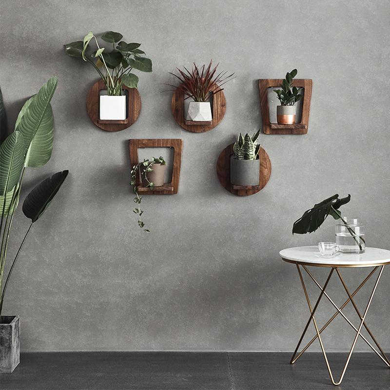 wood wall succulent planter Sebastian